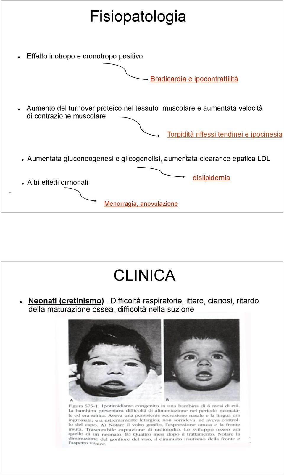 tendinei e ipocinesia!! Aumentata gluconeogenesi e glicogenolisi, aumentata clearance epatica LDL!