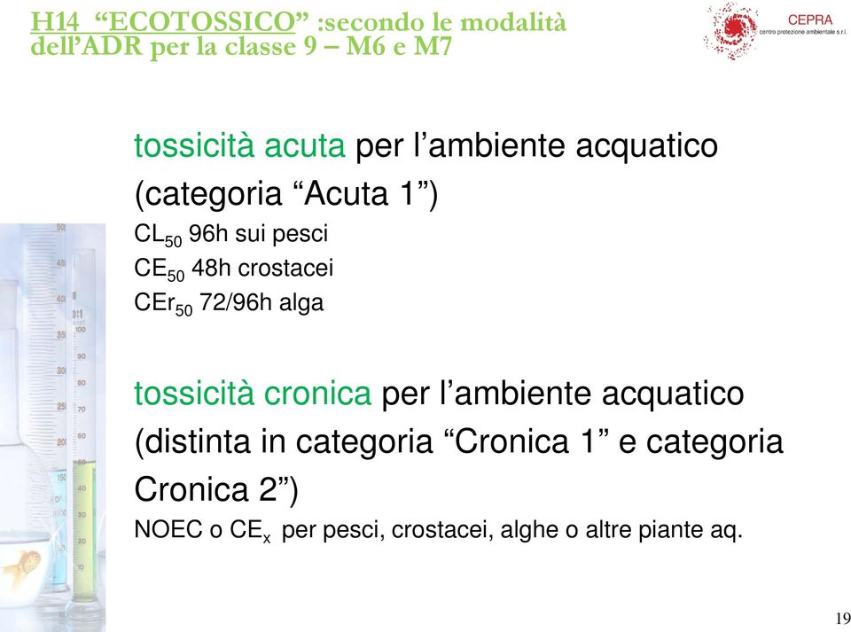 CEr 50 72/96h alga tossicità cronica per l ambiente acquatico (distinta in categoria