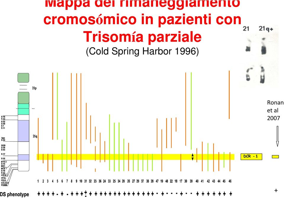 Trisomía parziale (Cold Spring