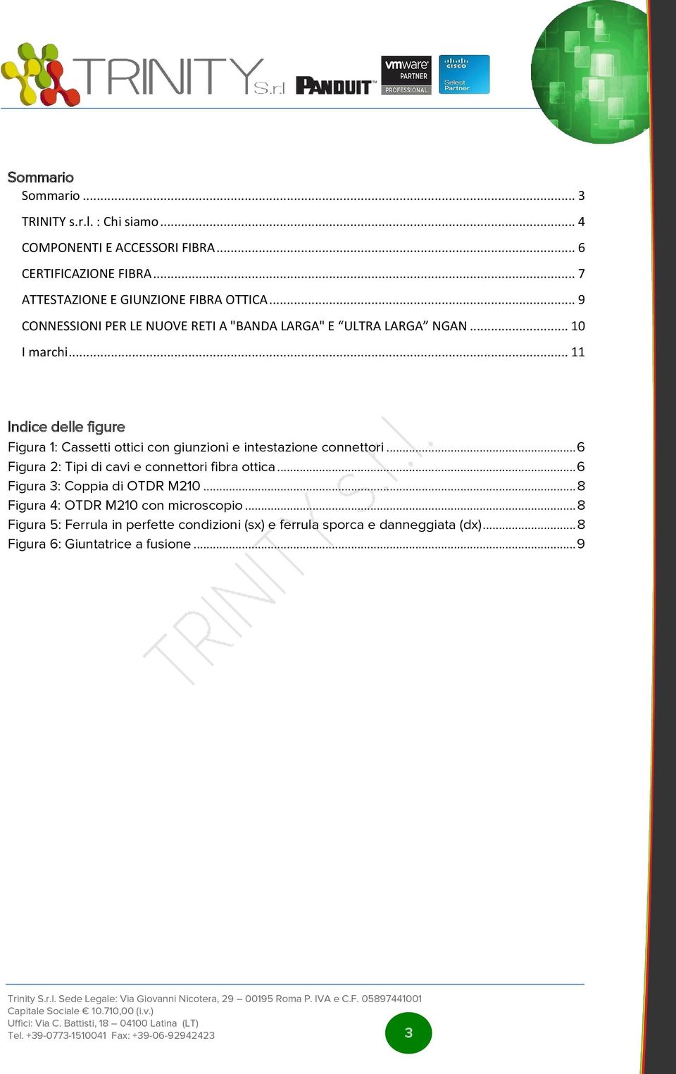 .. 11 Indice delle figure Figura 1: Cassetti ottici con giunzioni e intestazione connettori... 6 Figura 2: Tipi di cavi e connettori fibra ottica.