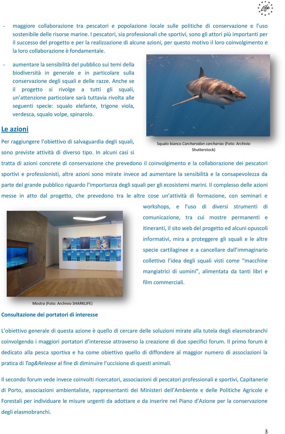 collaborazione è fondamentale. - aumentare la sensibilità del pubblico sui temi della biodiversità in generale e in particolare sulla conservazione degli squali e delle razze.