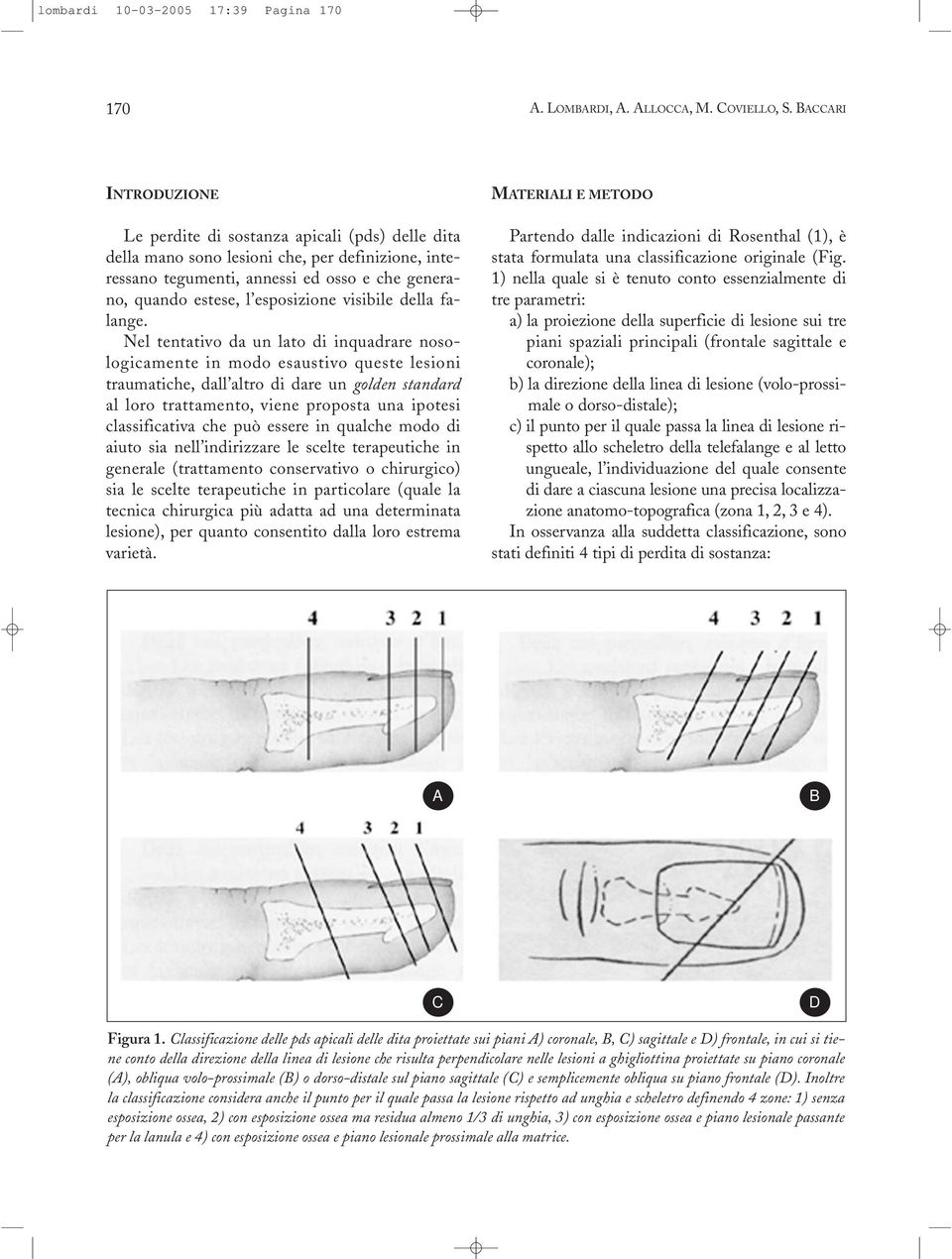 visibile della falange.