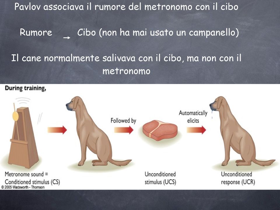 usato un campanello) Il cane normalmente