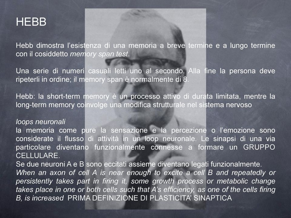 Hebb: la short-term memory è un processo attivo di durata limitata, mentre la long-term memory coinvolge una modifica strutturale nel sistema nervoso loops neuronali la memoria come pure la
