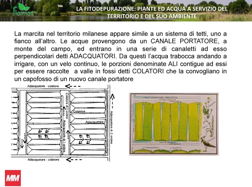 perpendicolari detti ADACQUATORI.