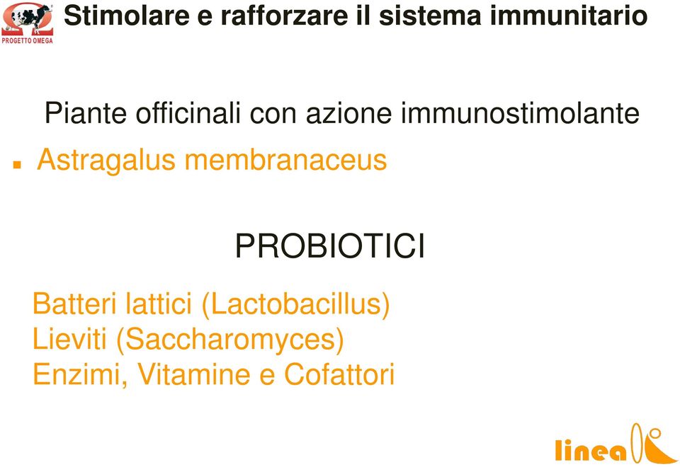 membranaceus PROBIOTICI Batteri lattici