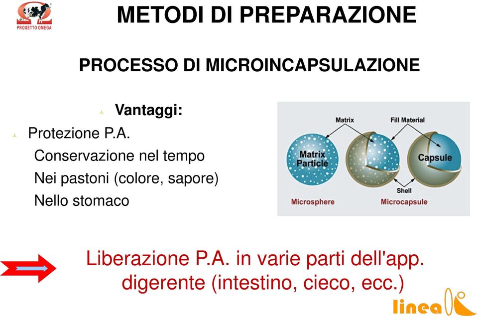 Conservazione nel tempo Nei pastoni (colore, sapore)