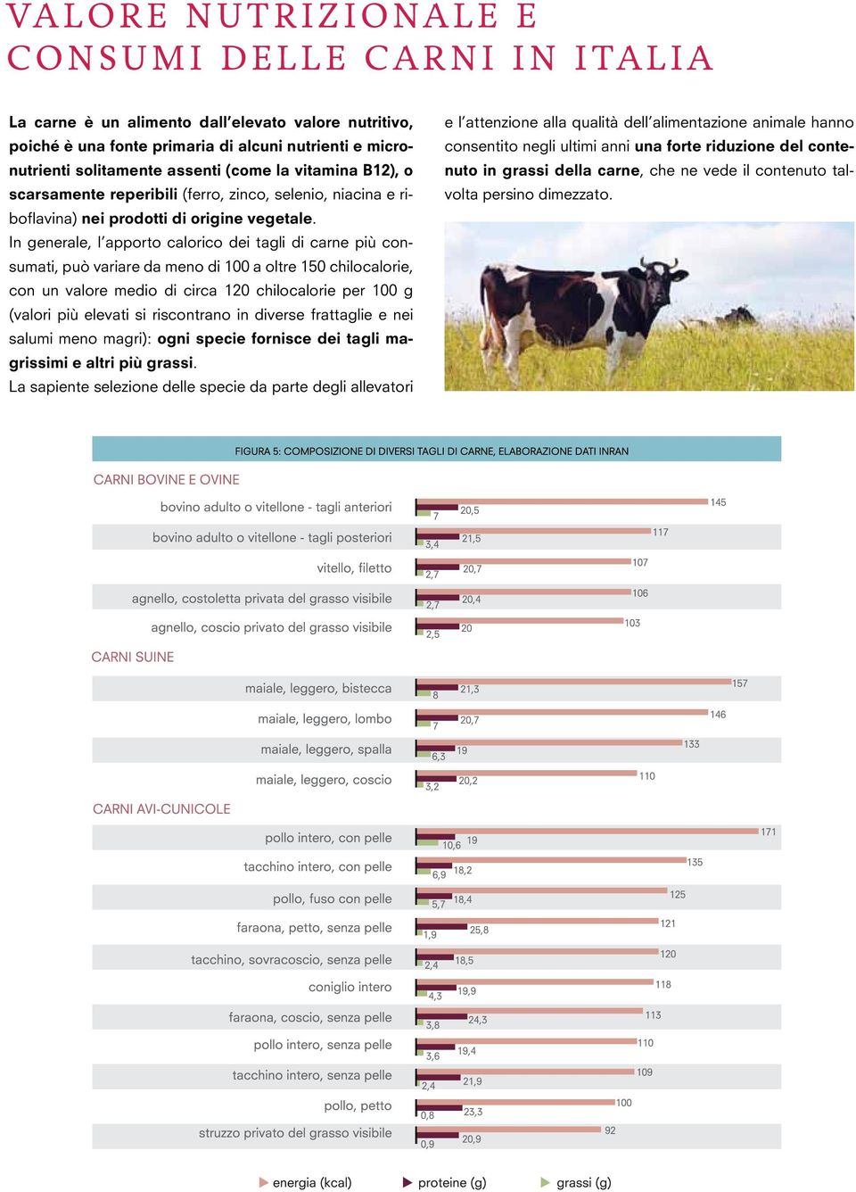 In generale, l apporto calorico dei tagli di carne più consumati, può variare da meno di 100 a oltre 150 chilocalorie, con un valore medio di circa 120 chilocalorie per 100 g (valori più elevati si