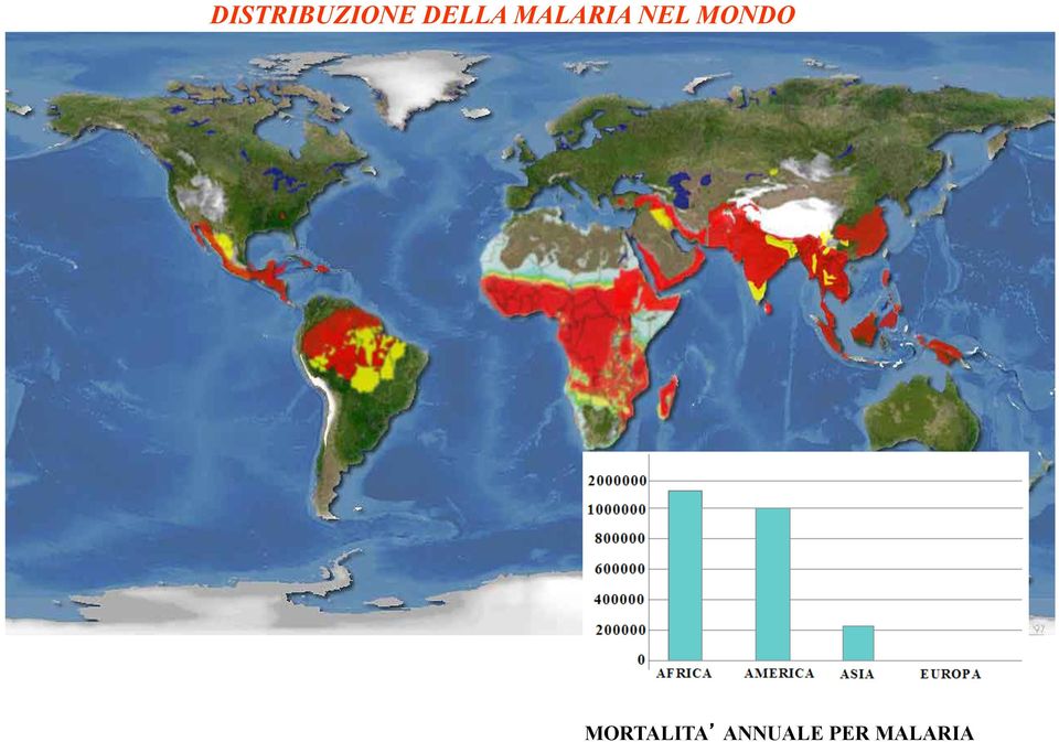 NEL MONDO