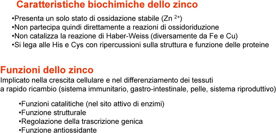 delle proteine Funzioni dello zinco Implicato nella crescita cellulare e nel differenziamento dei tessuti a rapido ricambio (sistema immunitario,