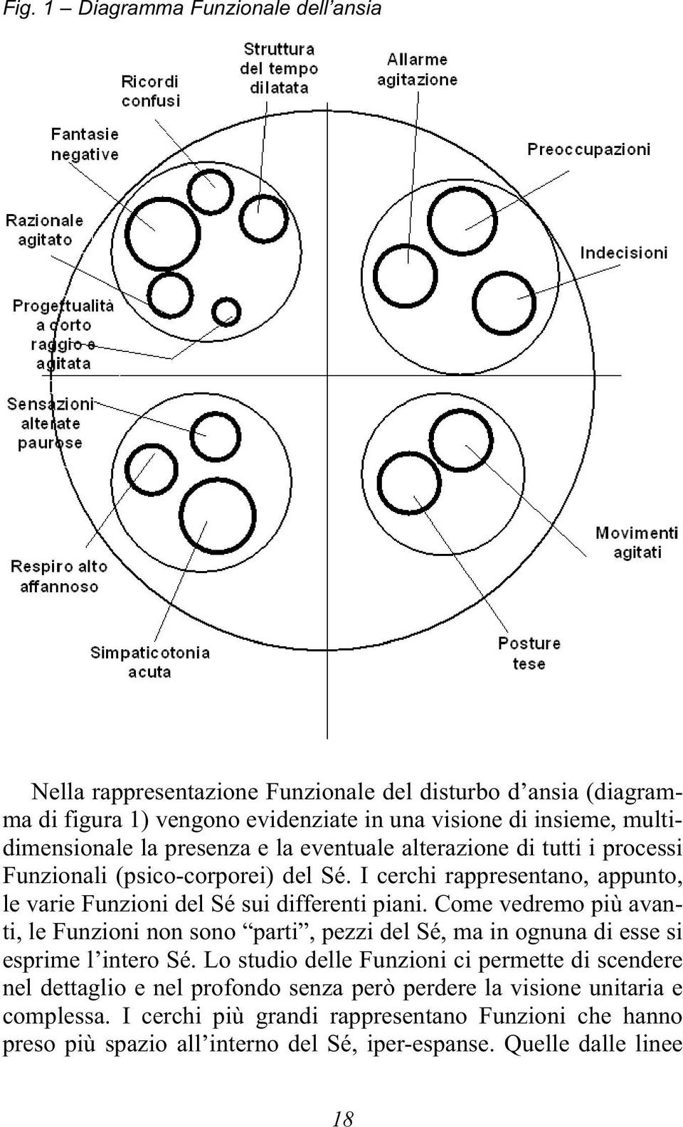 I cerchi rappresentano, appunto, le varie Funzioni del Sé sui differenti piani.