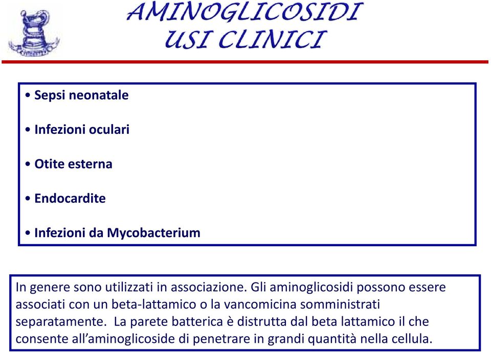 Gli aminoglicosidi possono essere associati con un beta-lattamico o la vancomicina