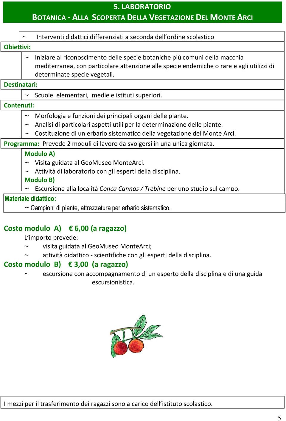 comuni della macchia mediterranea, con particolare attenzione alle specie endemiche o rare e agli utilizzi di determinate specie vegetali. ~ Scuole elementari, medie e istituti superiori.