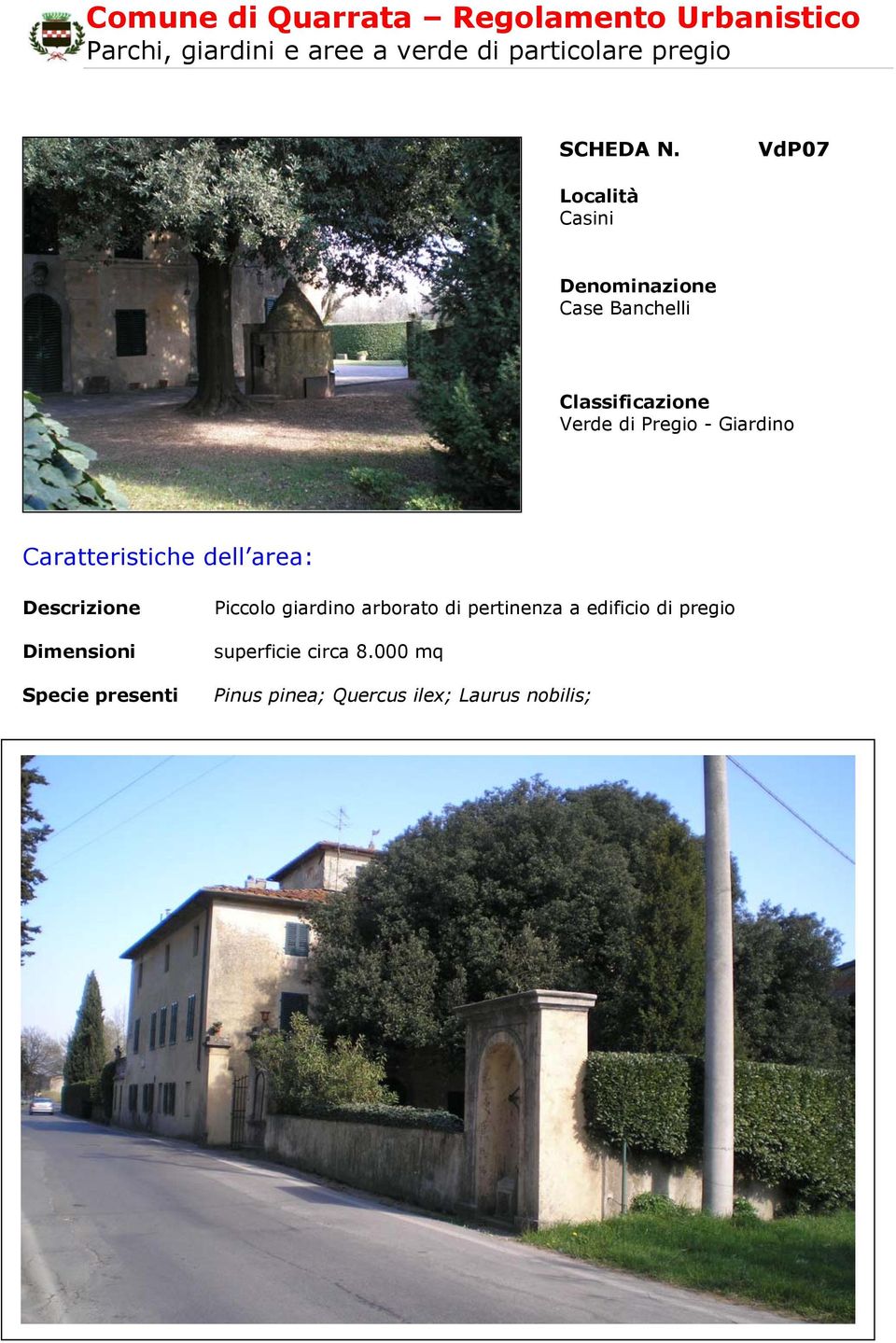 VdP07 Località Casini Denominazione Case Banchelli Classificazione Verde di Pregio - Giardino