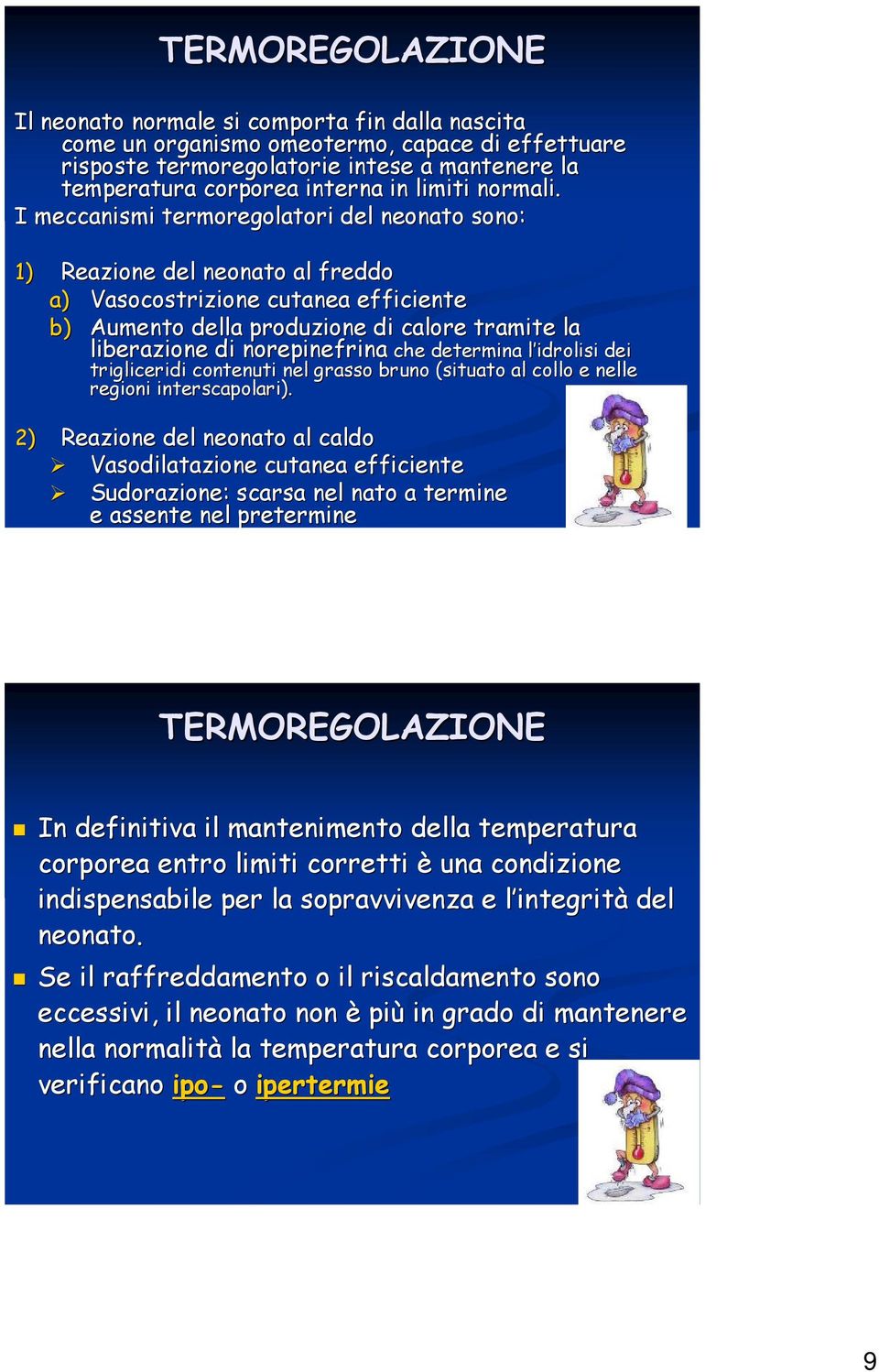 I meccanismi termoregolatori del neonato sono: 1) Reazione del neonato al freddo a) Vasocostrizione cutanea efficiente b) Aumento della produzione di calore tramite la liberazione di norepinefrina