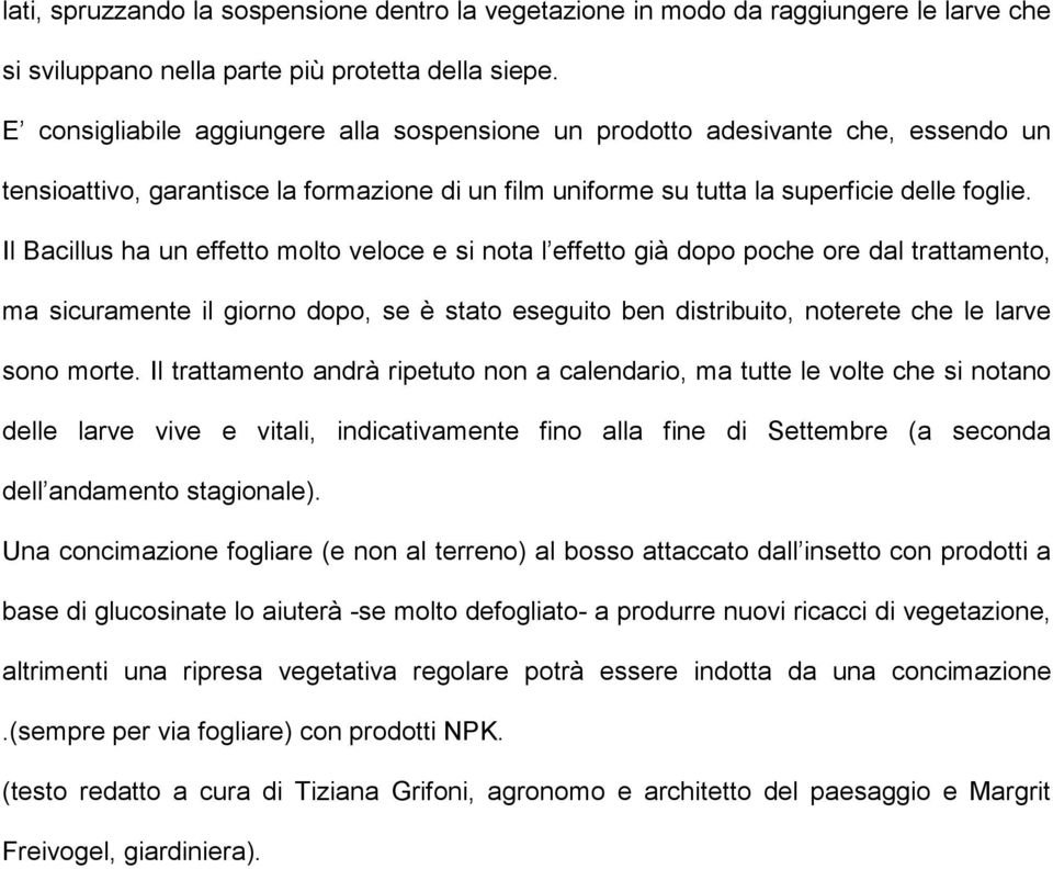 Il Bacillus ha un effetto molto veloce e si nota l effetto già dopo poche ore dal trattamento, ma sicuramente il giorno dopo, se è stato eseguito ben distribuito, noterete che le larve sono morte.