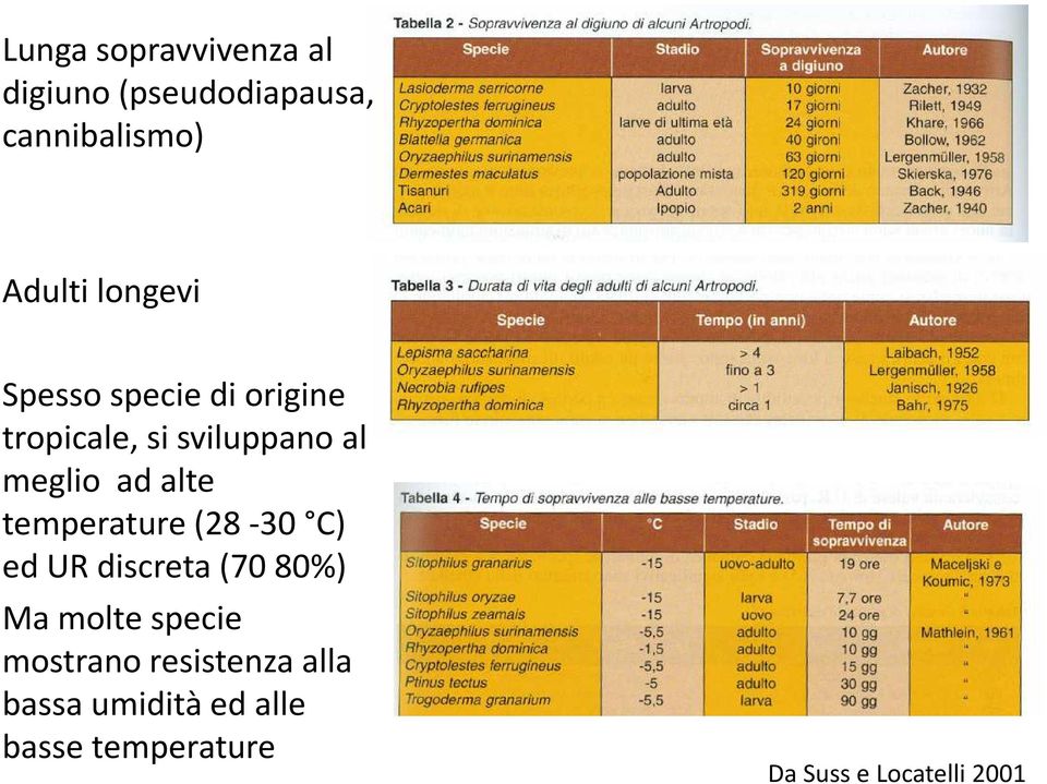 alte temperature (28-30 C) ed UR discreta (7080%) Ma molte specie