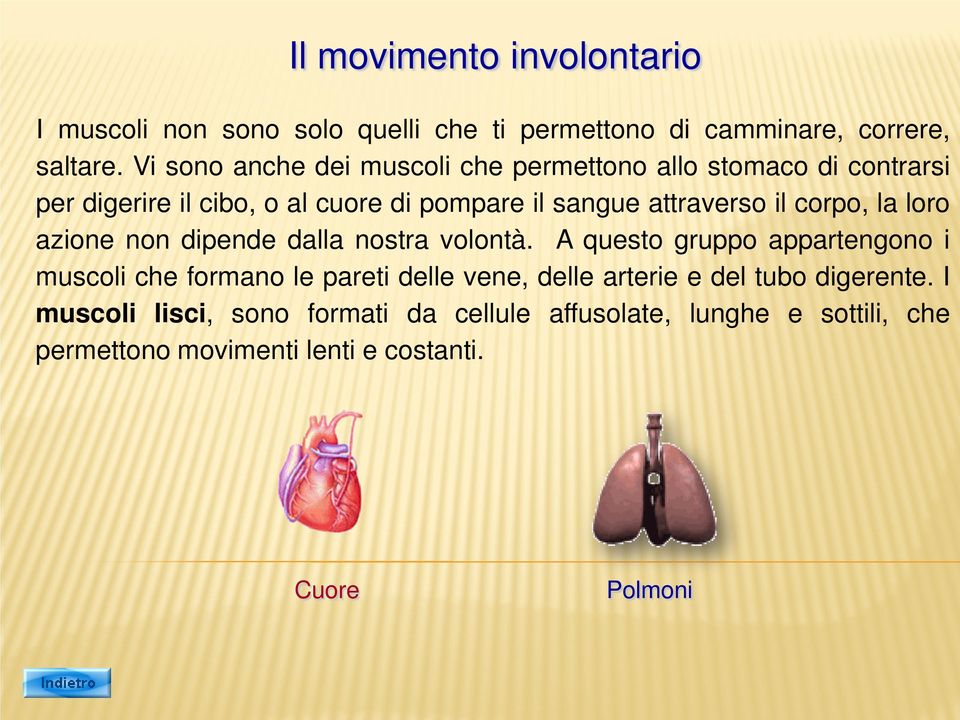 il corpo, la loro azione non dipende dalla nostra volontà.