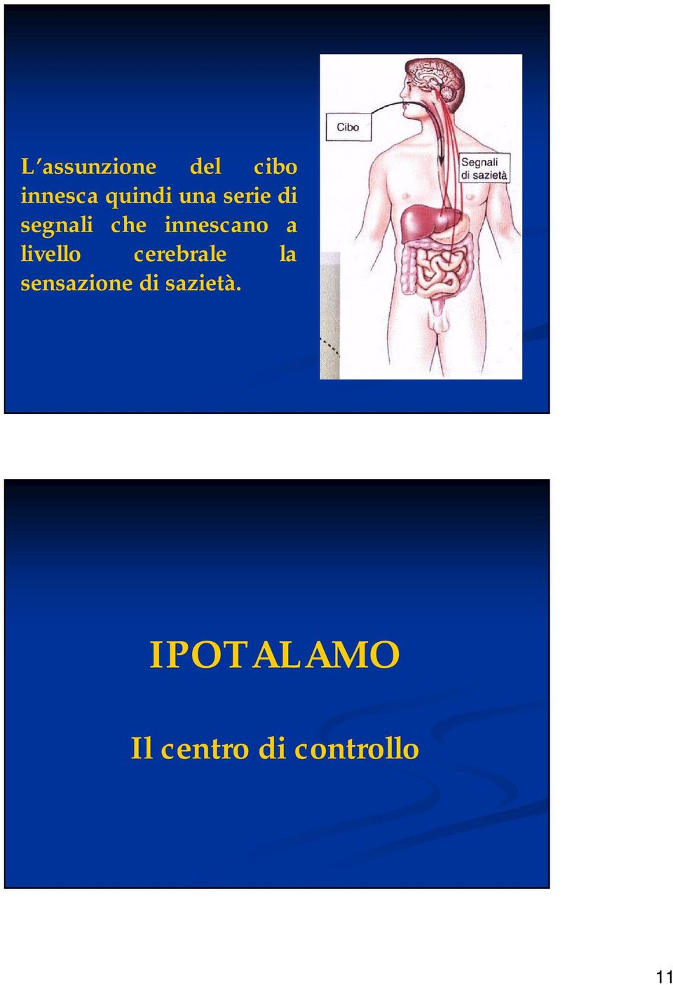 livello cerebrale la sensazione di