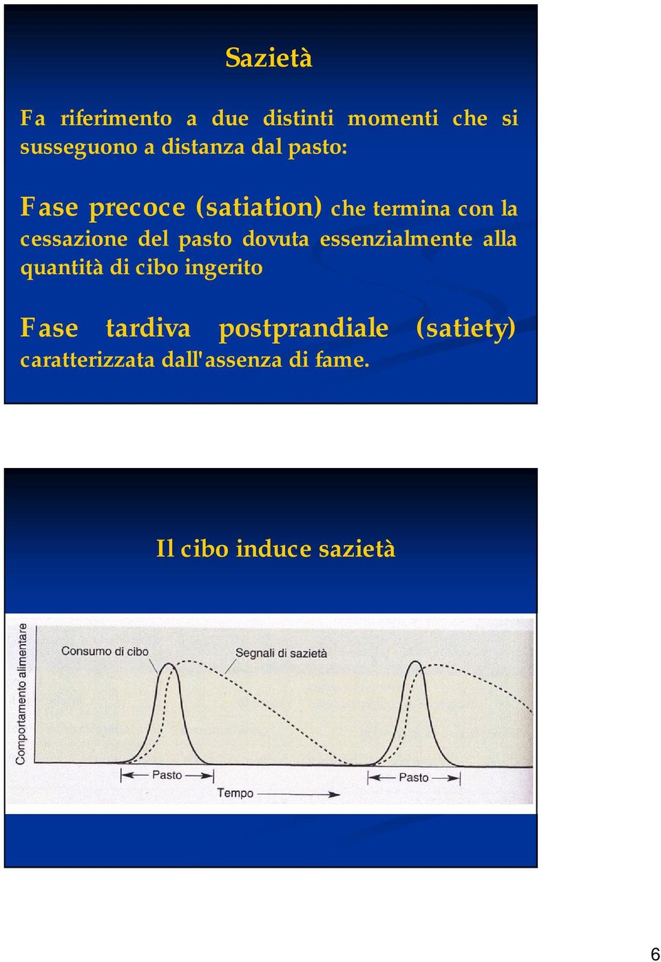 dovuta essenzialmente alla quantità di cibo ingerito Fase tardiva