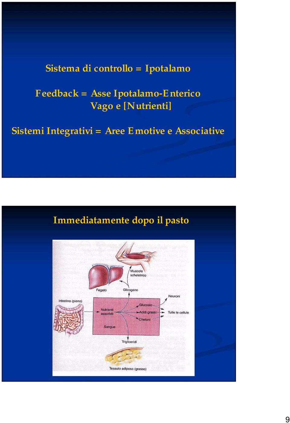 [Nutrienti] Sistemi Integrativi = Aree