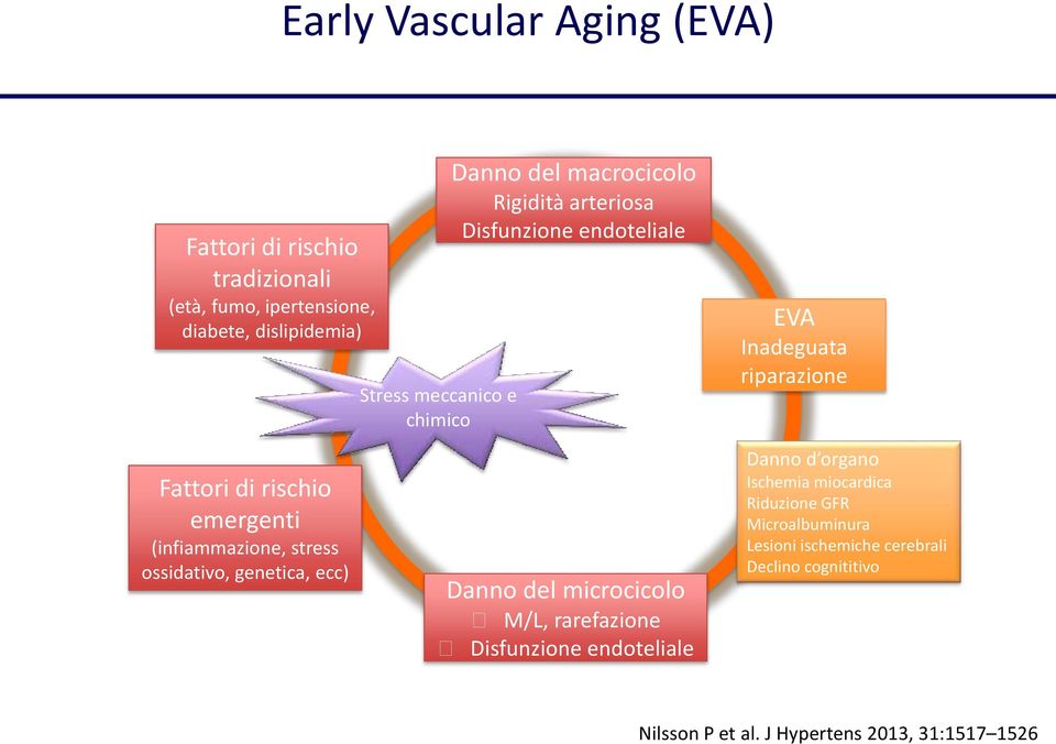 (infiammazione, stress ossidativo, genetica, ecc) Danno del microcicolo M/L, rarefazione Disfunzione endoteliale Danno d organo