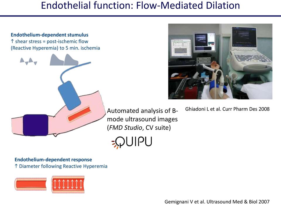 ischemia Automated analysis of B- mode ultrasound images (FMD Studio, CV suite) Ghiadoni L et