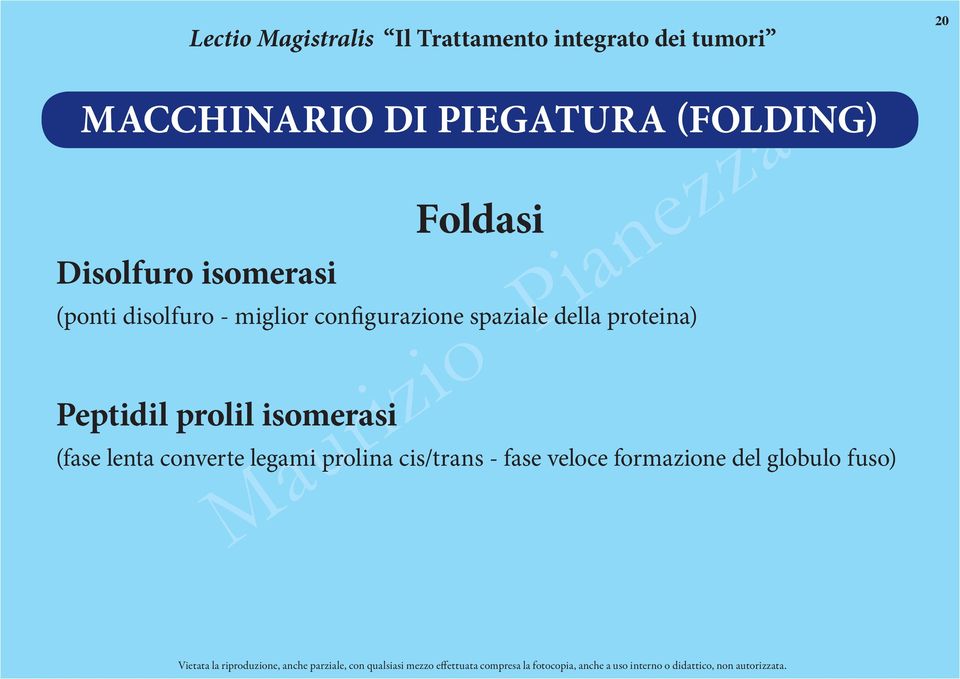 della proteina) Peptidil prolil isomerasi (fase lenta