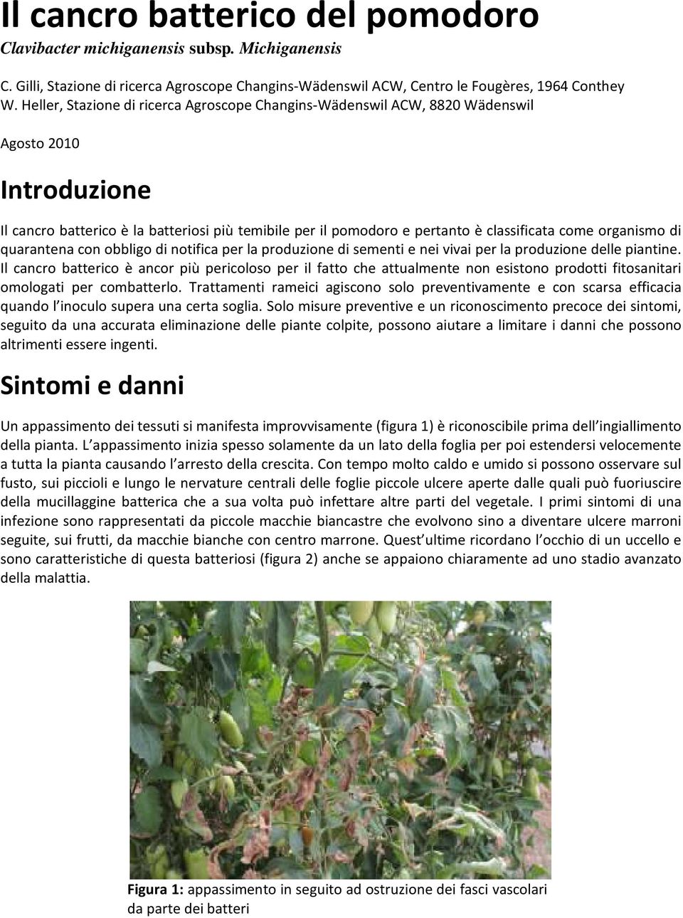 organismo di quarantena con obbligo di notifica per la produzione di sementi e nei vivai per la produzione delle piantine.