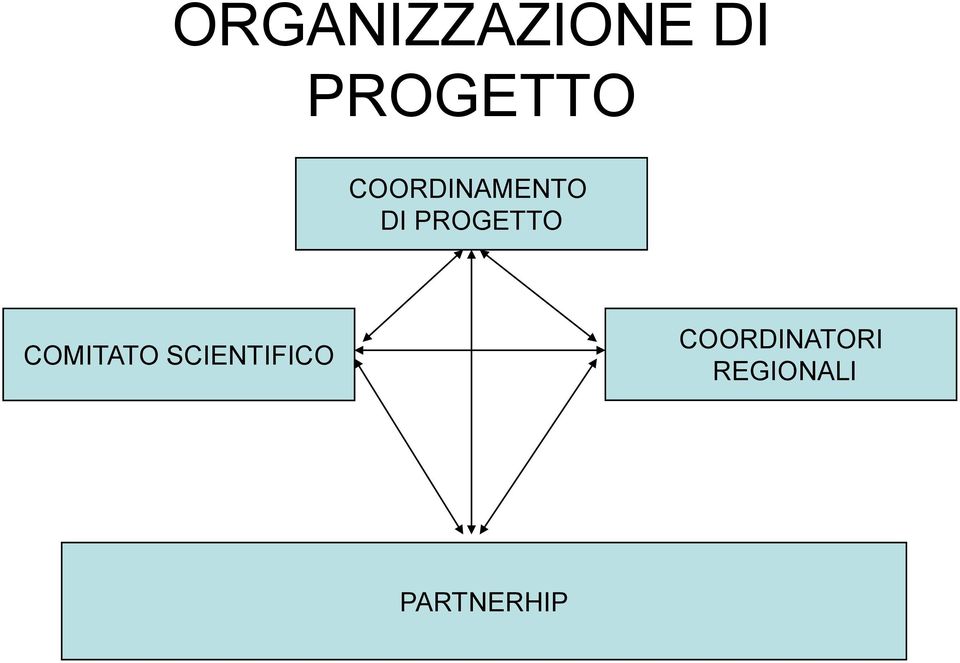 COMITATO SCIENTIFICO