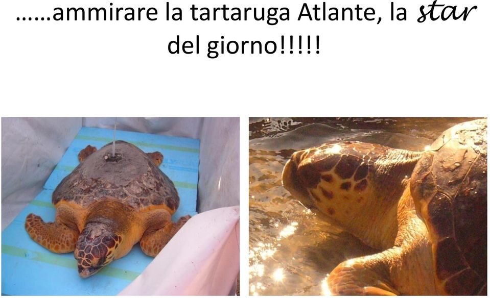 Atlante, la