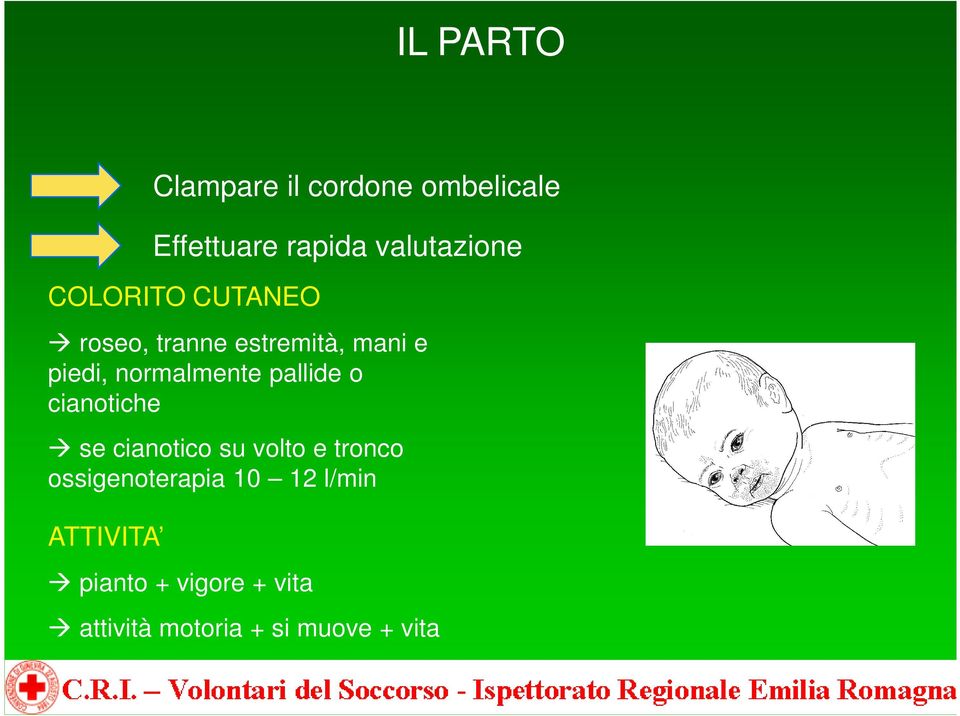 pallide o cianotiche se cianotico su volto e tronco ossigenoterapia