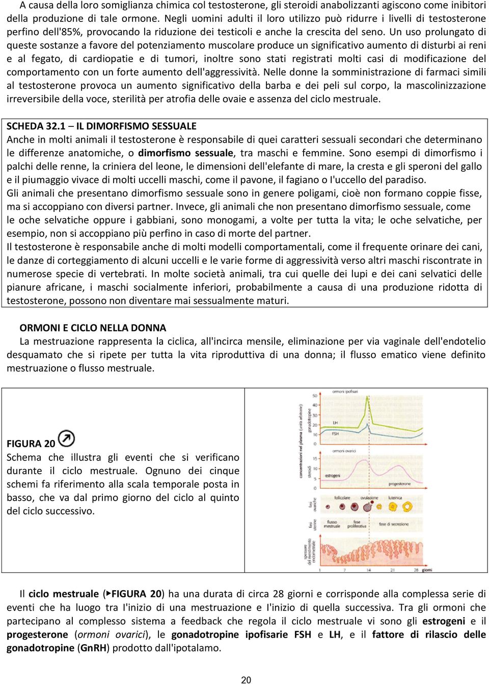 Un uso prolungato di queste sostanze a favore del potenziamento muscolare produce un significativo aumento di disturbi ai reni e al fegato, di cardiopatie e di tumori, inoltre sono stati registrati