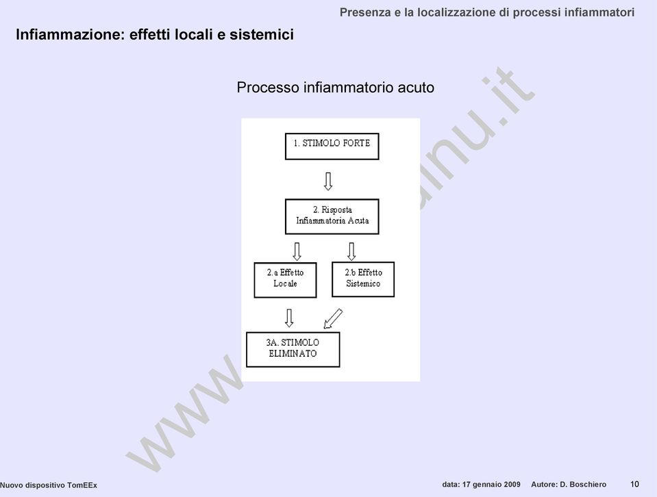 infiammatori Processo infiammatorio acuto Nuovo