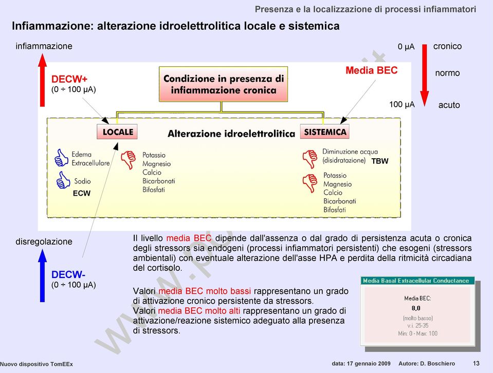 Boschiero 13 TBW 0 µa 100 µa normo acuto Il livello media BEC dipende dall'assenza o dal grado di persistenza acuta o cronica degli stressors sia endogeni (processi infiammatori persistenti) che