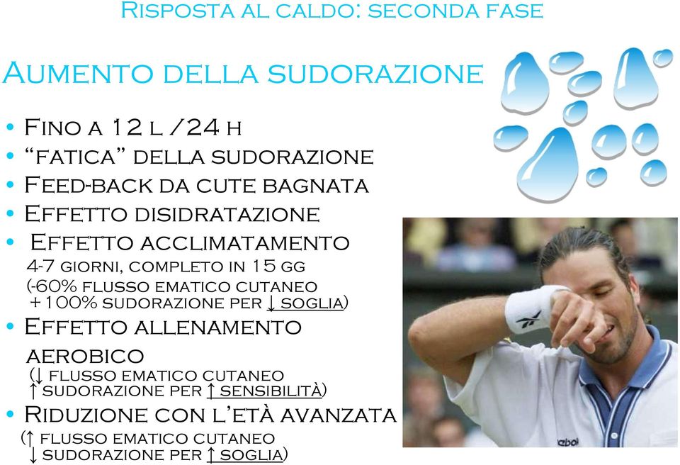 (-60% flusso ematico cutaneo +100% sudorazione per soglia) Effetto allenamento aerobico ( flusso ematico