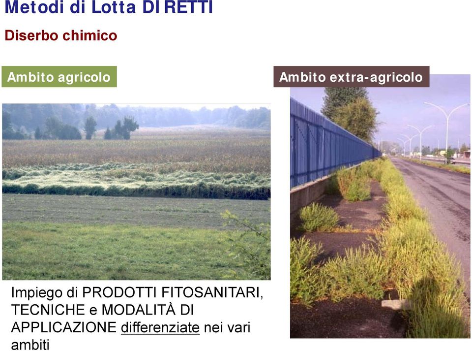 FITOSANITARI, TECNICHE e MODALITÀ DI