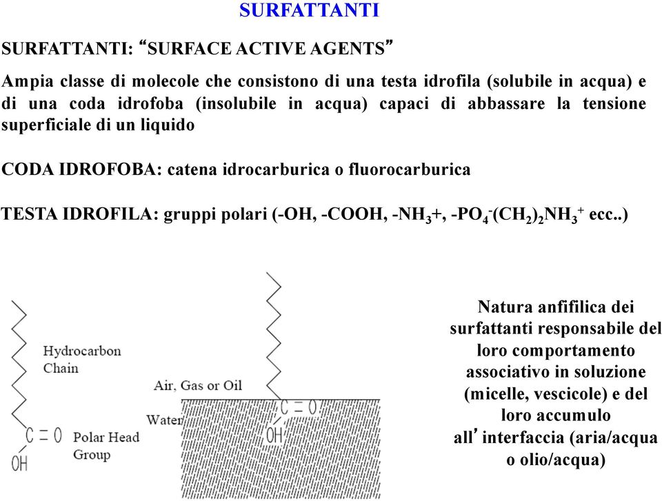 fluorocarburica TESTA IDROFILA: gruppi polari (-OH, -COOH, -NH 3 +, -PO 4- (CH 2 ) 2 NH 3 + ecc.