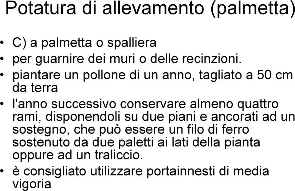 rami, disponendoli su due piani e ancorati ad un sostegno, che può essere un filo di ferro sostenuto da