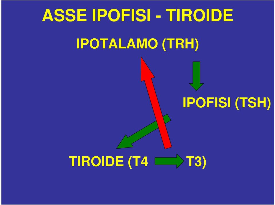 IPOTALAMO (TRH)