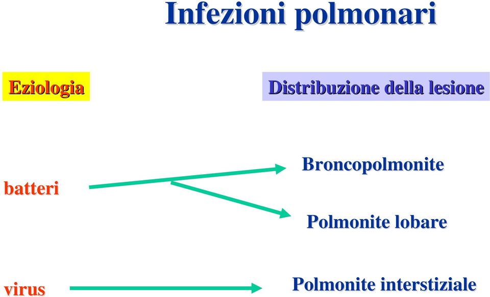 batteri Broncopolmonite