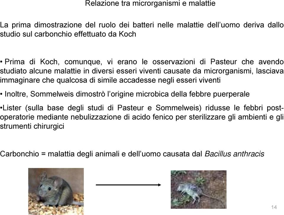 accadesse negli esseri viventi Inoltre, Sommelweis dimostrò l origine microbica della febbre puerperale Lister (sulla base degli studi di Pasteur e Sommelweis) ridusse le febbri