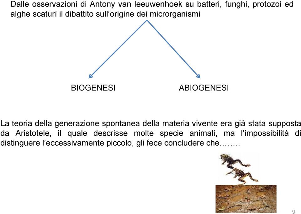 spontanea della materia vivente era già stata supposta da Aristotele, il quale descrisse molte