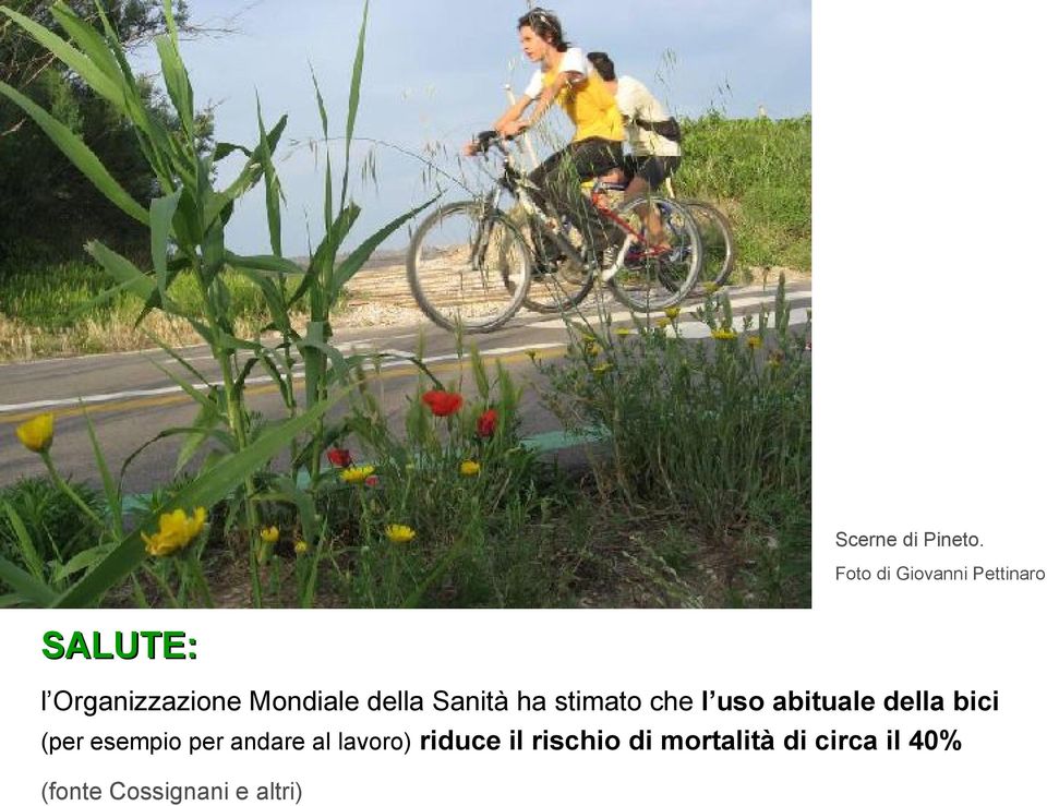 della Sanità ha stimato che l uso abituale della bici (per