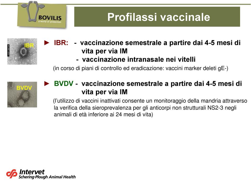 semestrale a partire dai 4-5 mesi di vita per via IM (l utilizzo di vaccini inattivati consente un monitoraggio della