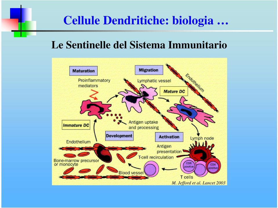 del Sistema Immunitario