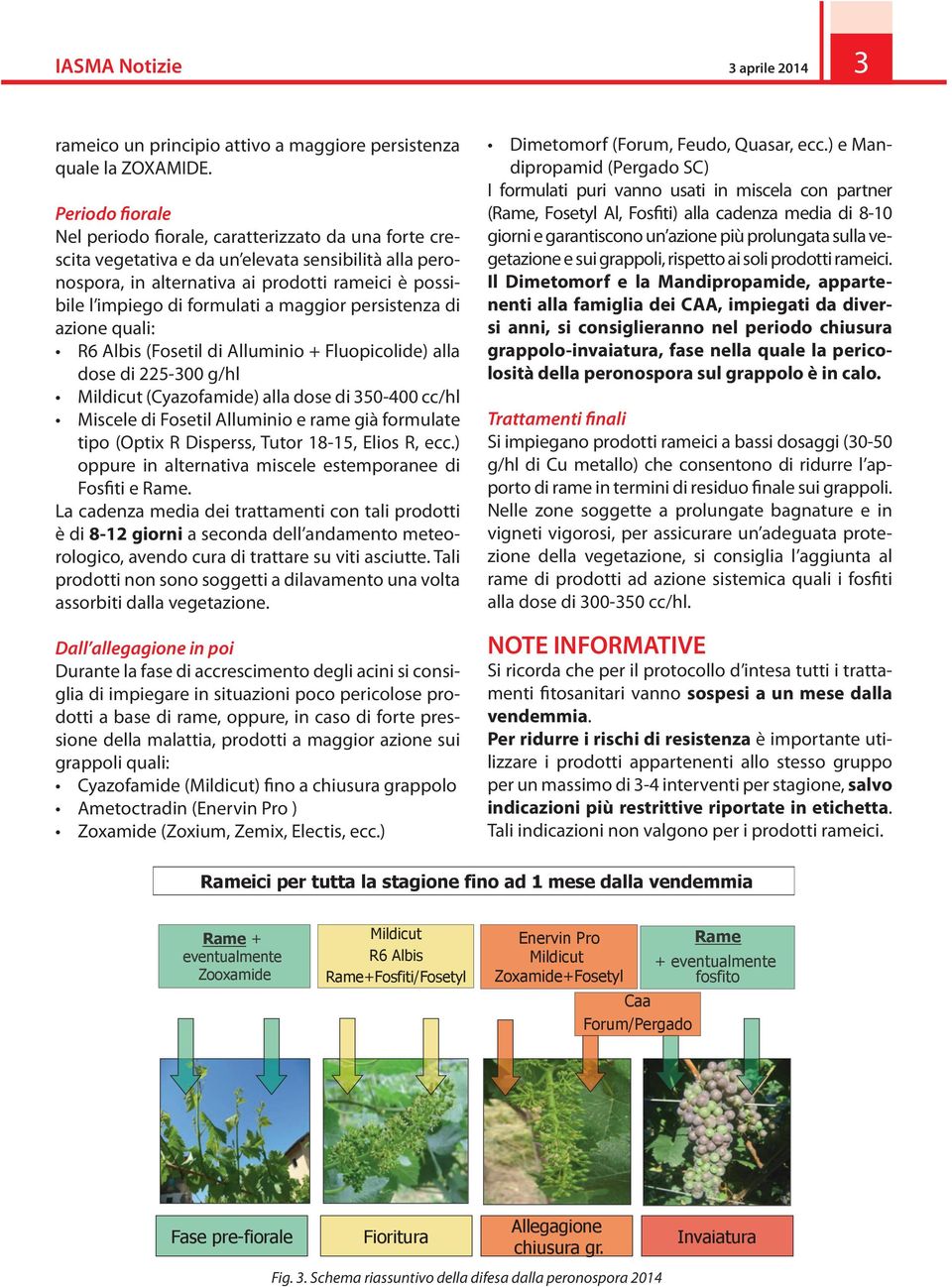 formulati a maggior persistenza di azione quali: R6 Albis (Fosetil di Alluminio + Fluopicolide) alla dose di 225-300 g/hl Mildicut (Cyazofamide) alla dose di 350-400 cc/hl Miscele di Fosetil