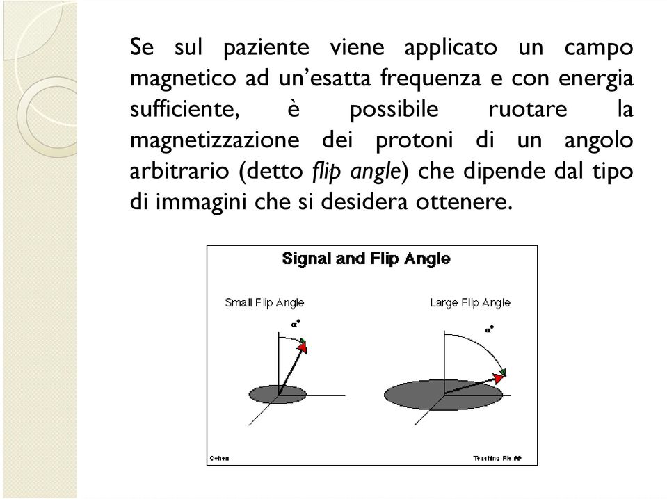magnetizzazione dei protoni di un angolo arbitrario (detto flip