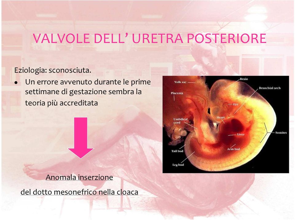 Un errore avvenuto durante le prime settimane di