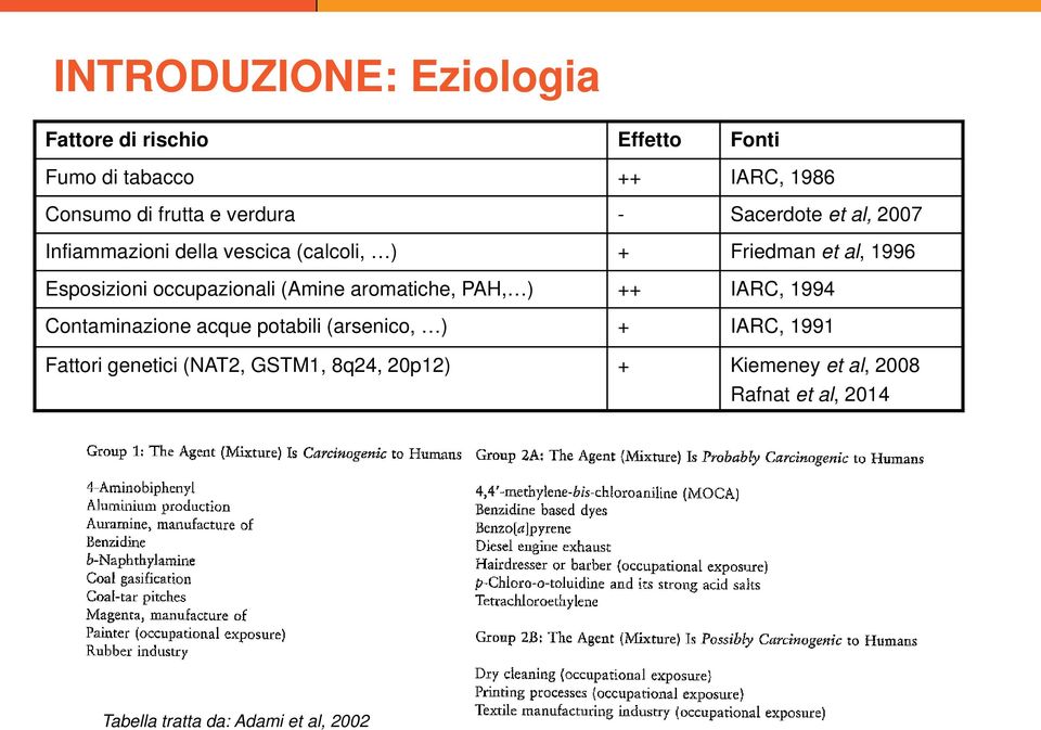 occupazionali (Amine aromatiche, PAH, ) ++ IARC, 1994 Contaminazione acque potabili (arsenico, ) + IARC, 1991